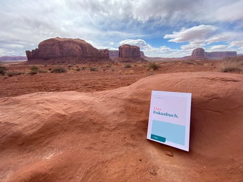 Das Fokusbuch. Richte Dich neu aus!